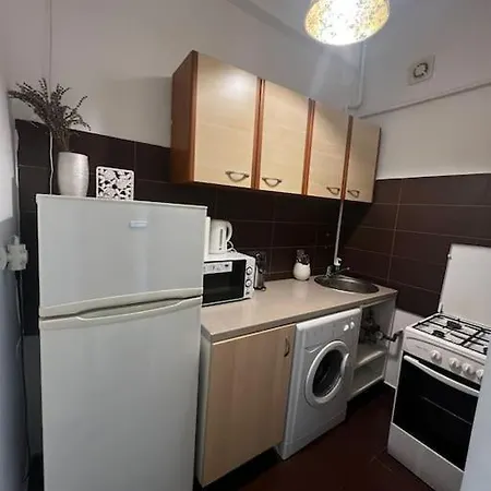 Appartement Central Studio Romana *